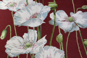Pavot blanc fond rouge